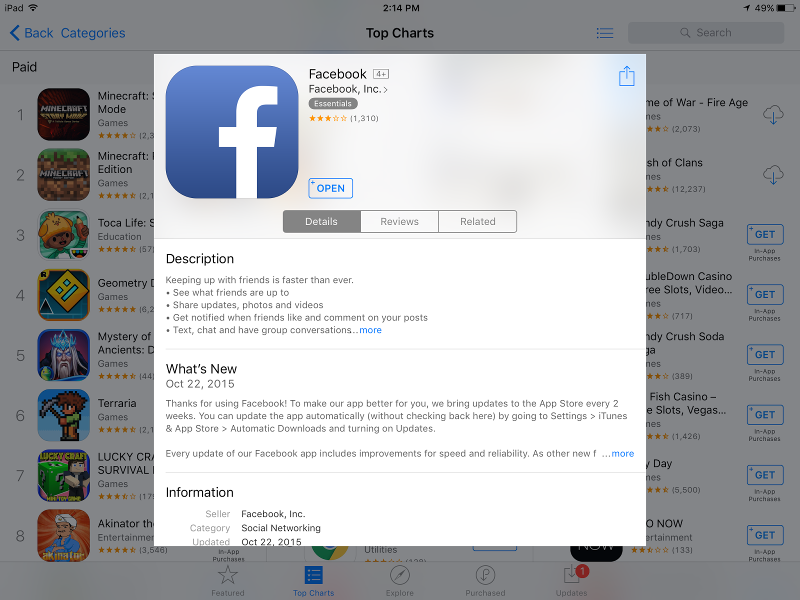 Facebook app details. Good example of description field