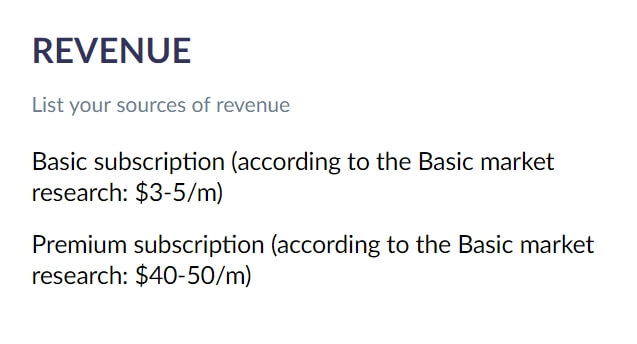 revenue segment