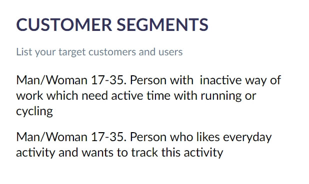 Customer segment