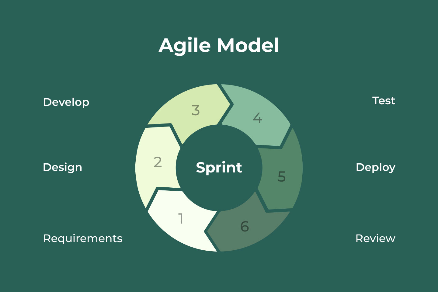 Agile Life Cycle Model