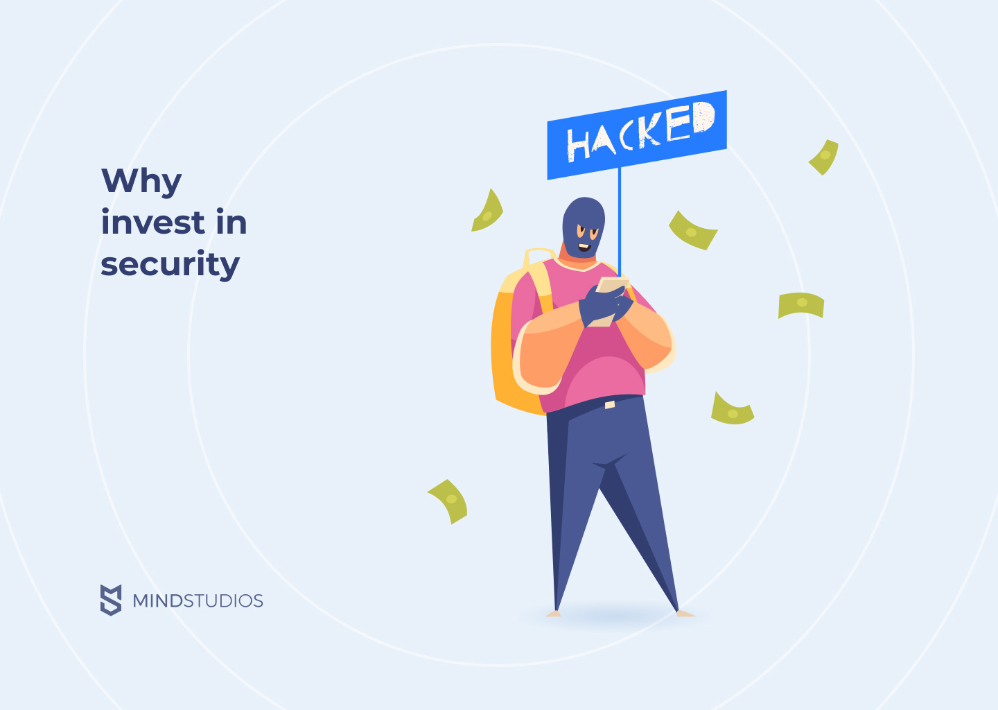Why invest in website security