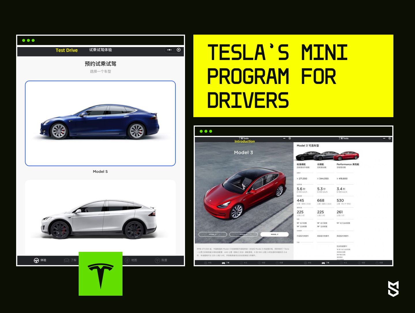 Tesla’s Mini Program for drivers
