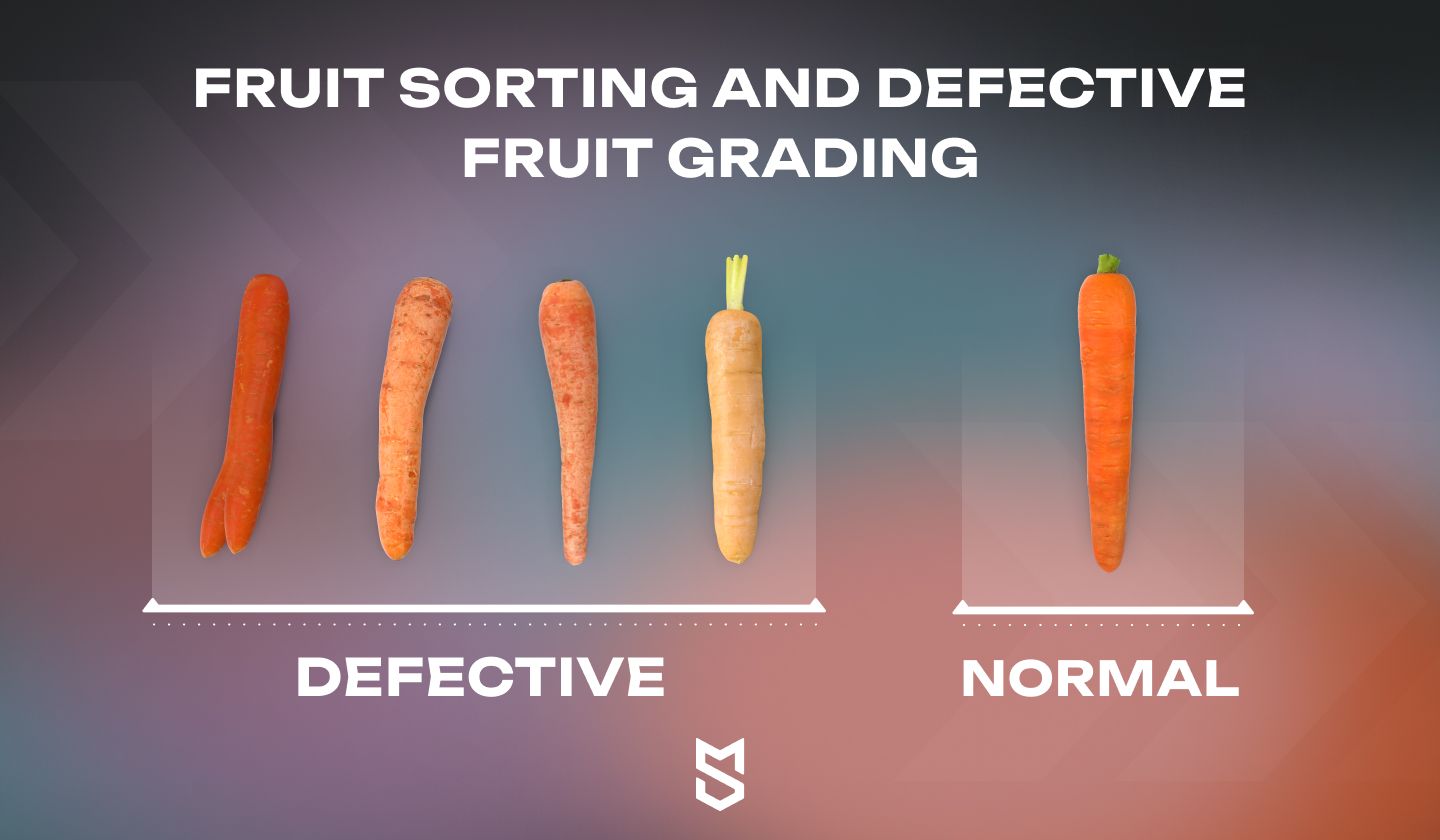 Fruit sorting and defective fruit grading