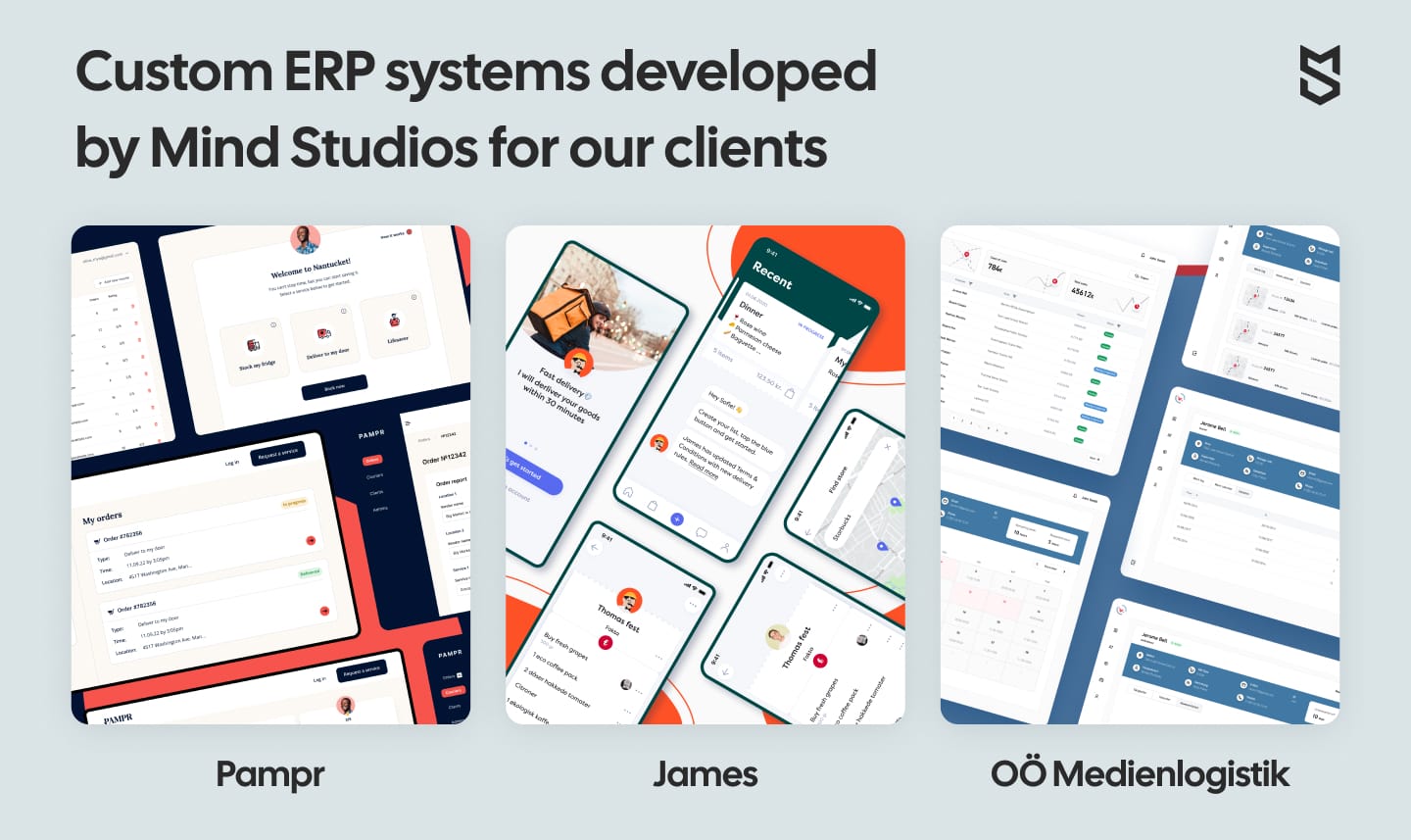 Logistics projects implemented by Mind Studios